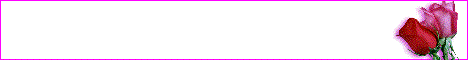 Your Banner